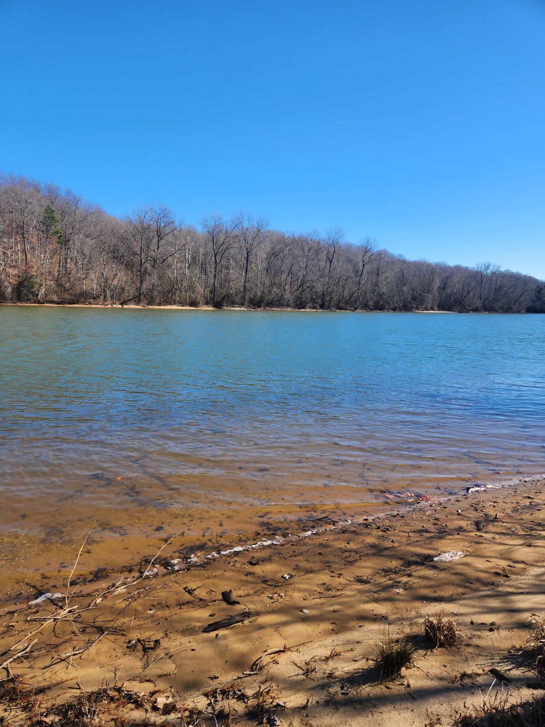 Lake Lookout Campground