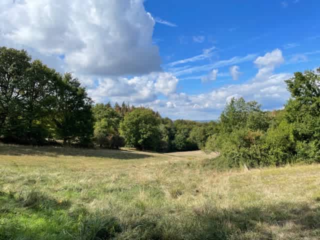 view from the bell tent