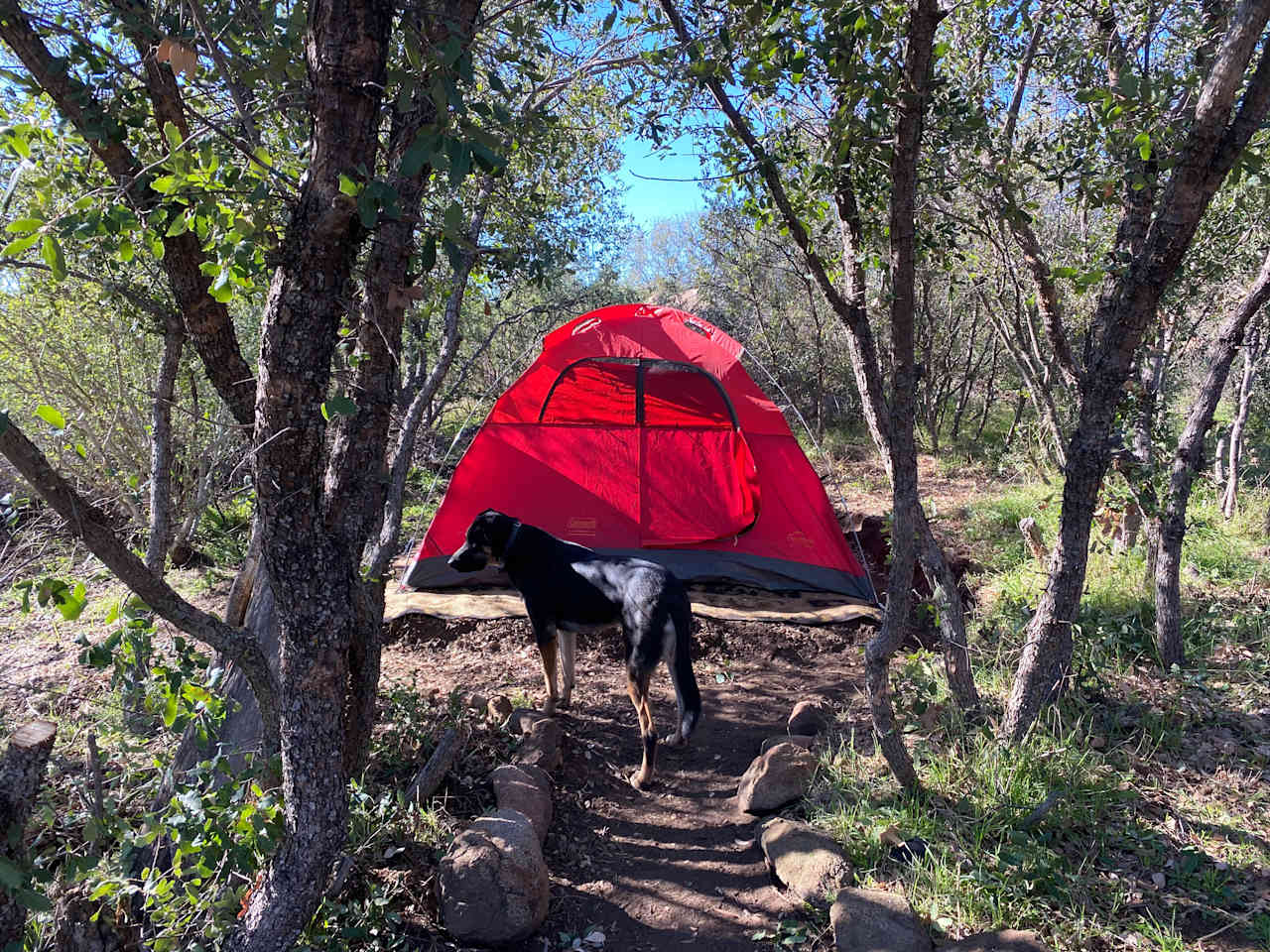 Adjacent camp site is perfect for including more 2 more guests. Bring your own tent or rent one from us!
