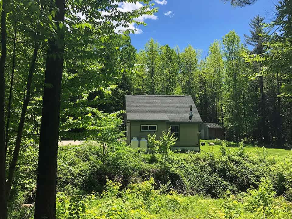 Cabin nestled in woods with large lawn