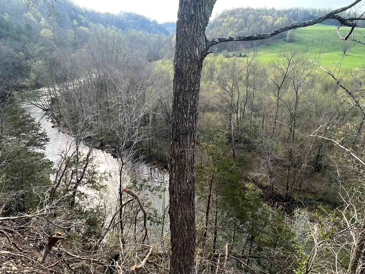 Wolf River 