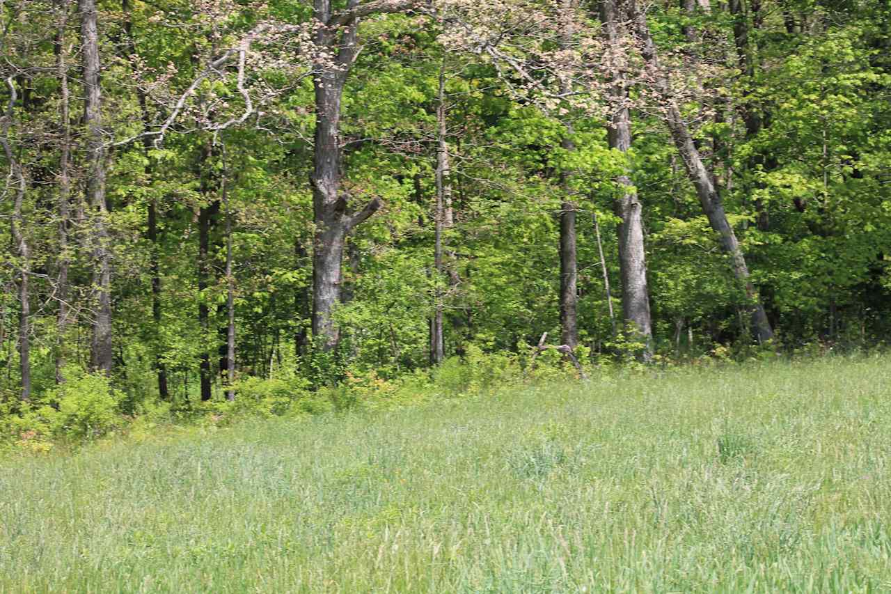 Firm Foundation Farm