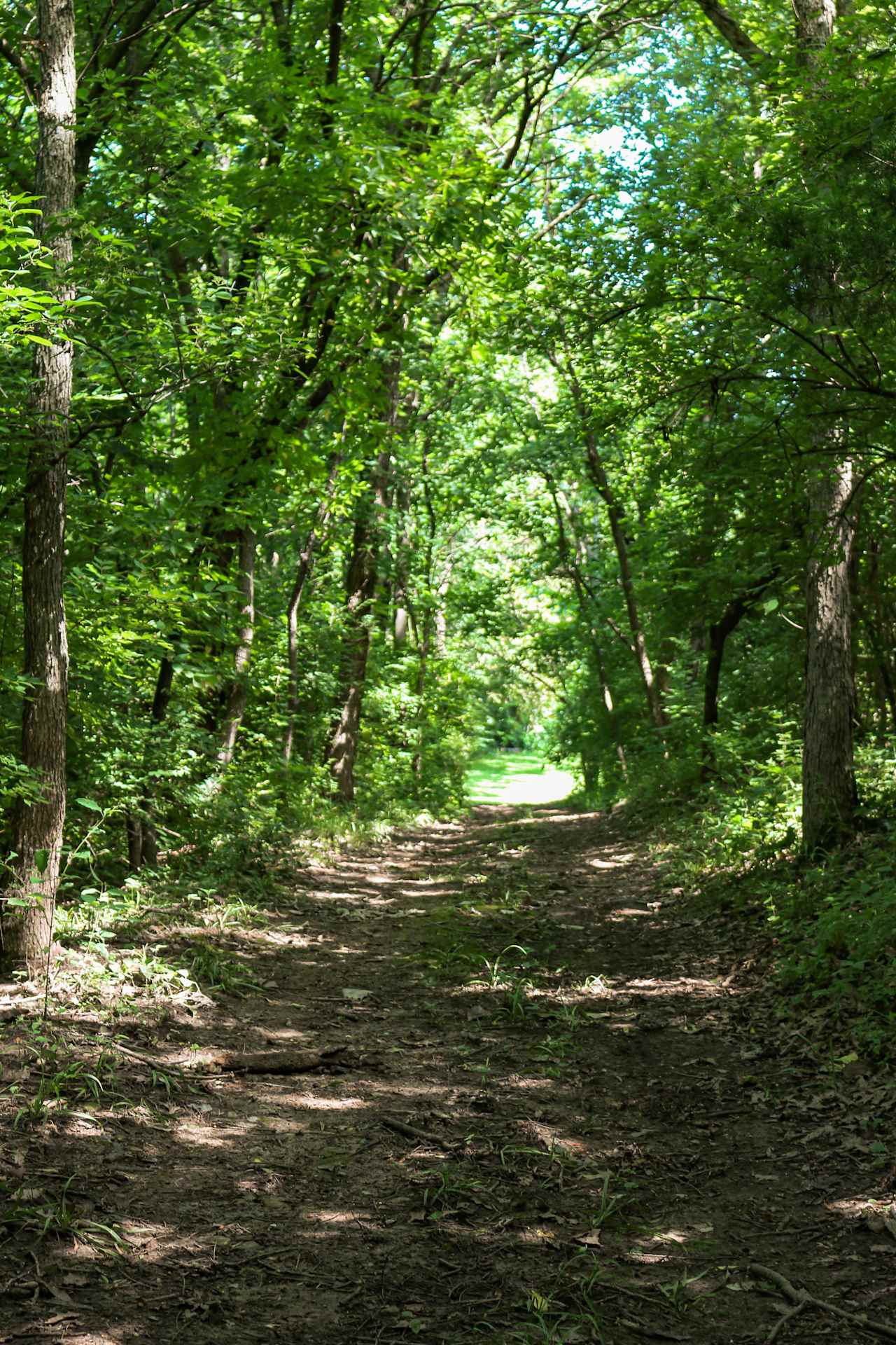 Trail