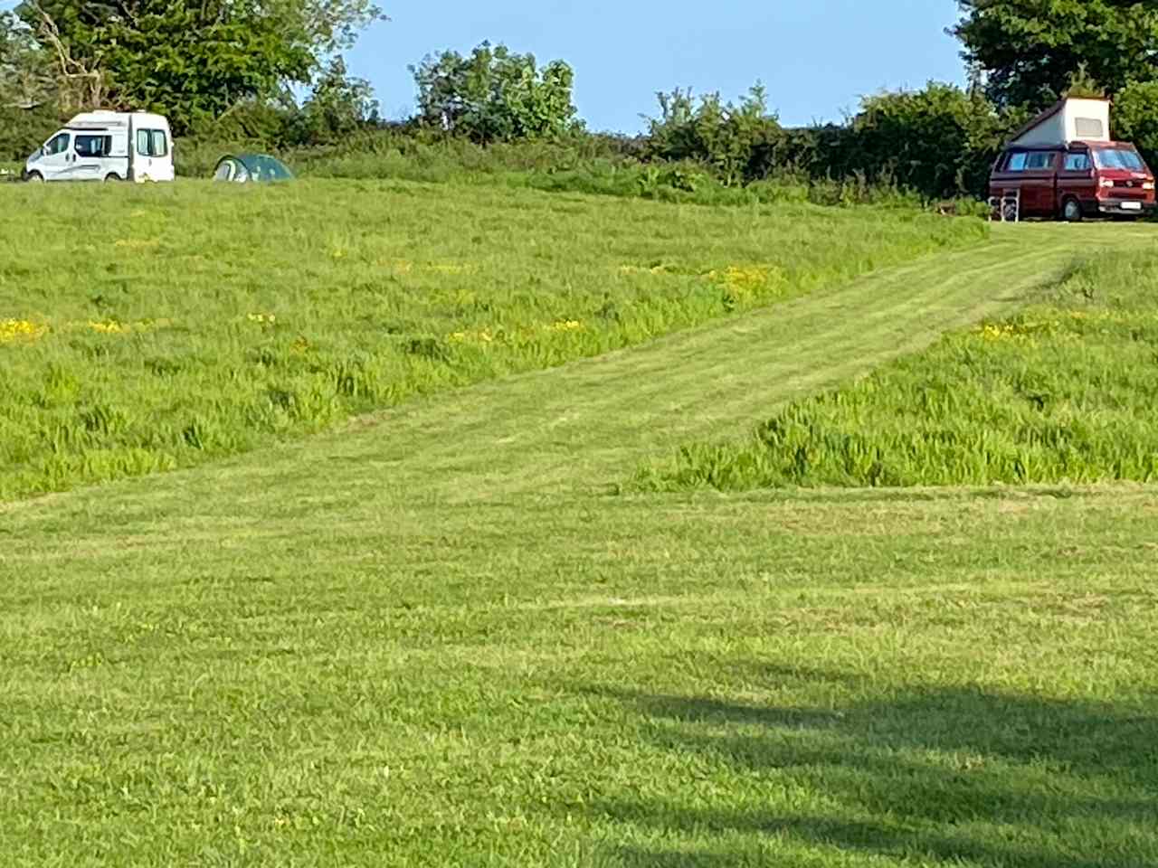 Plenty of room between pitches
