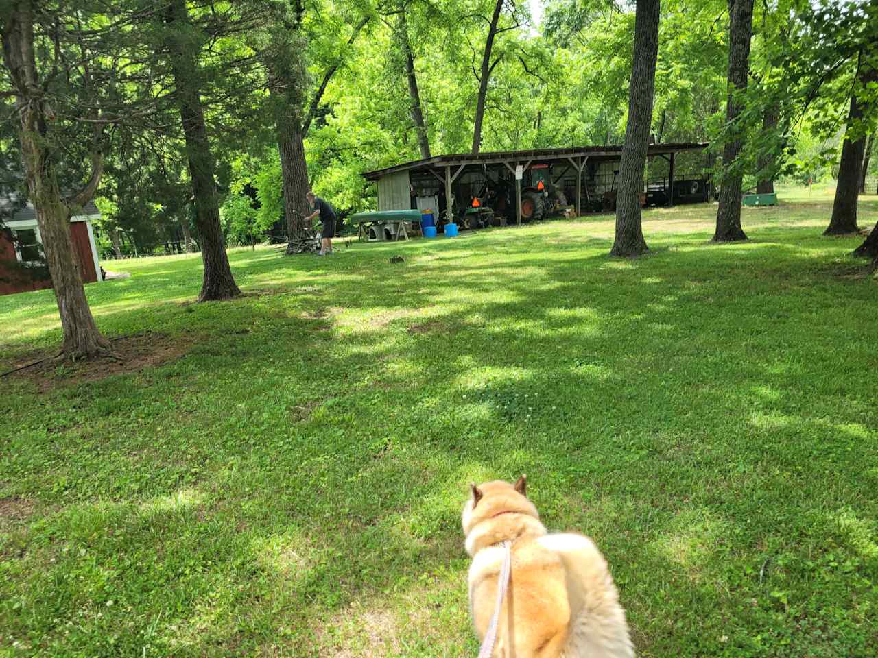 Bent Creek Farm