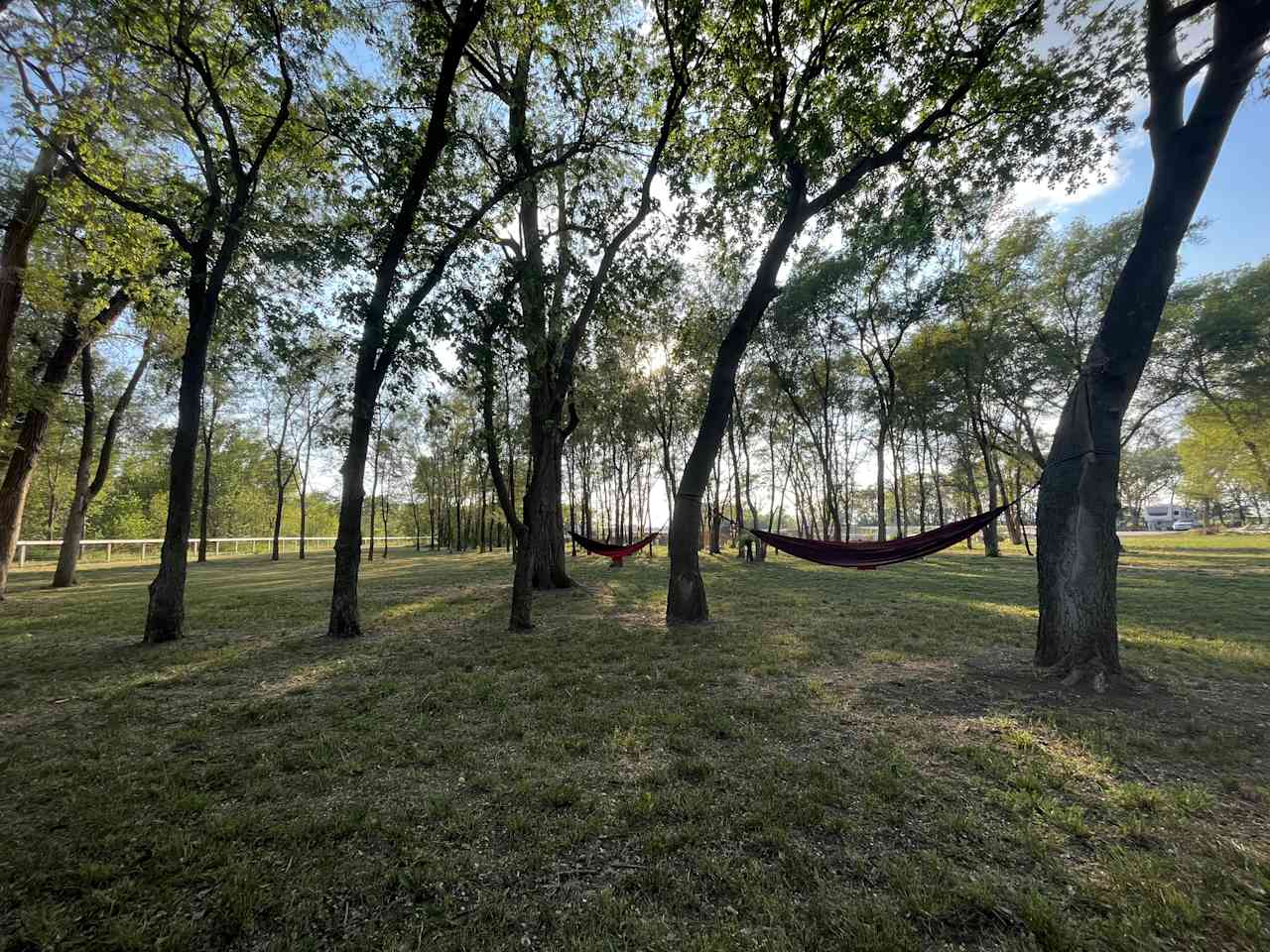 Enjoy some time on the hammocks and listen to the chorus of the birds. 