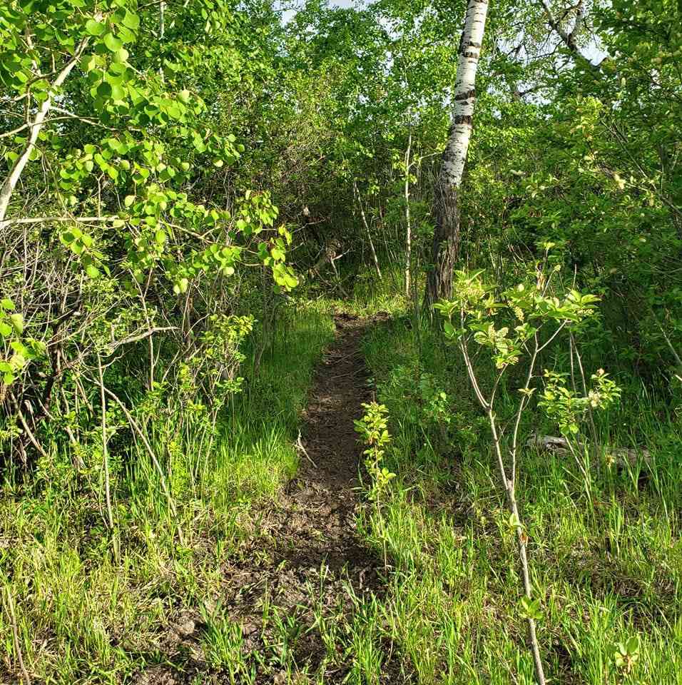 Hiking trails
