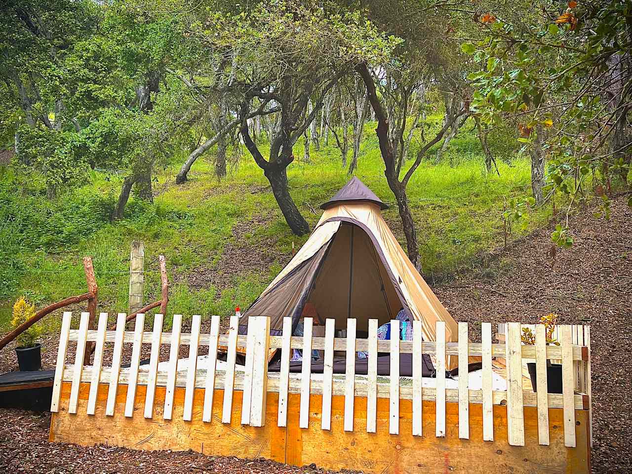 FEEL GOOD CAMP
