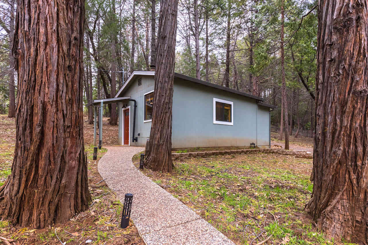 Little House in the Big Woods