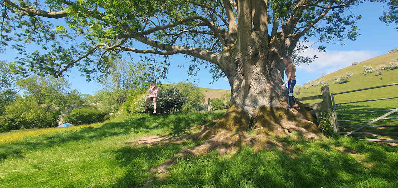 Cwmffrwd Farm Campsite