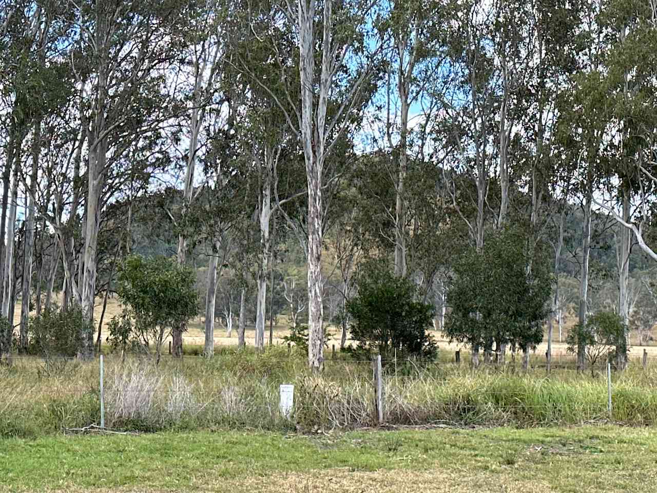 Funny Farm Frazerview
