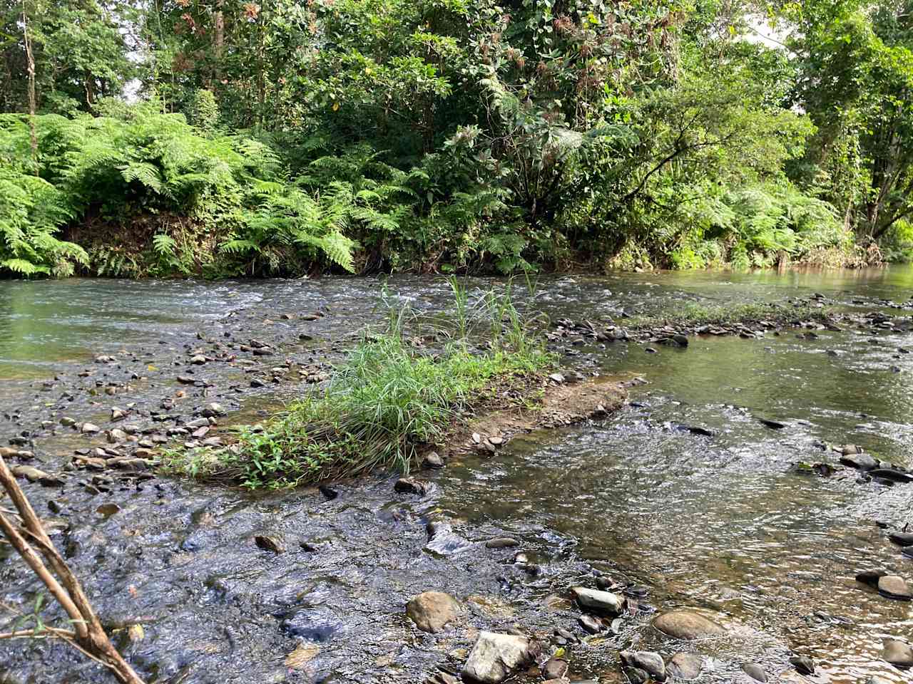 Beautiful running Creek 