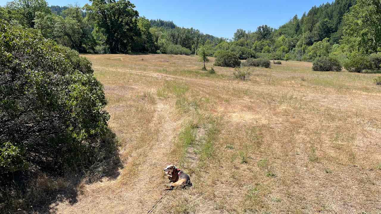 Lightworks ranch