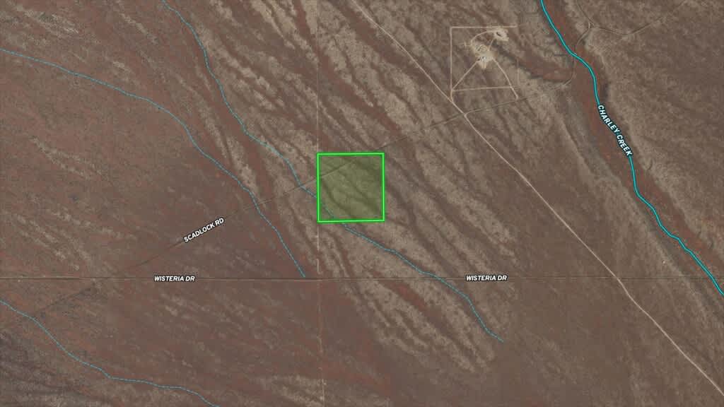 Montello Camp GFP