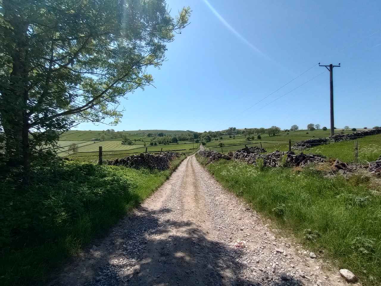 Nearby walk. 
