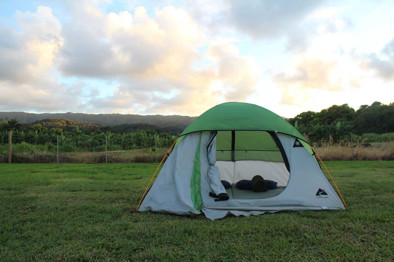 Maleka Farm: Camper-van & Tent
