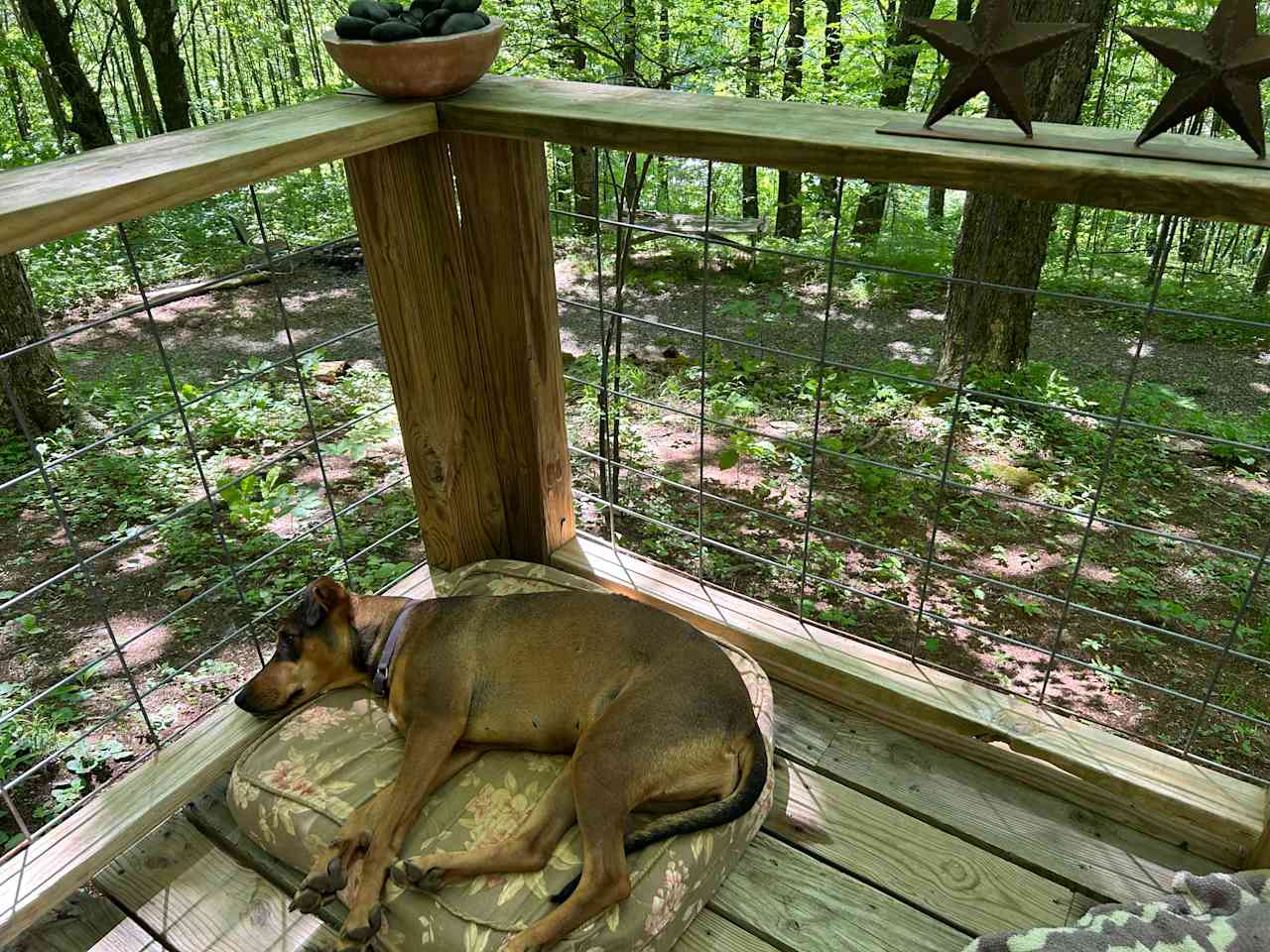 Longhope Mountain Glamping