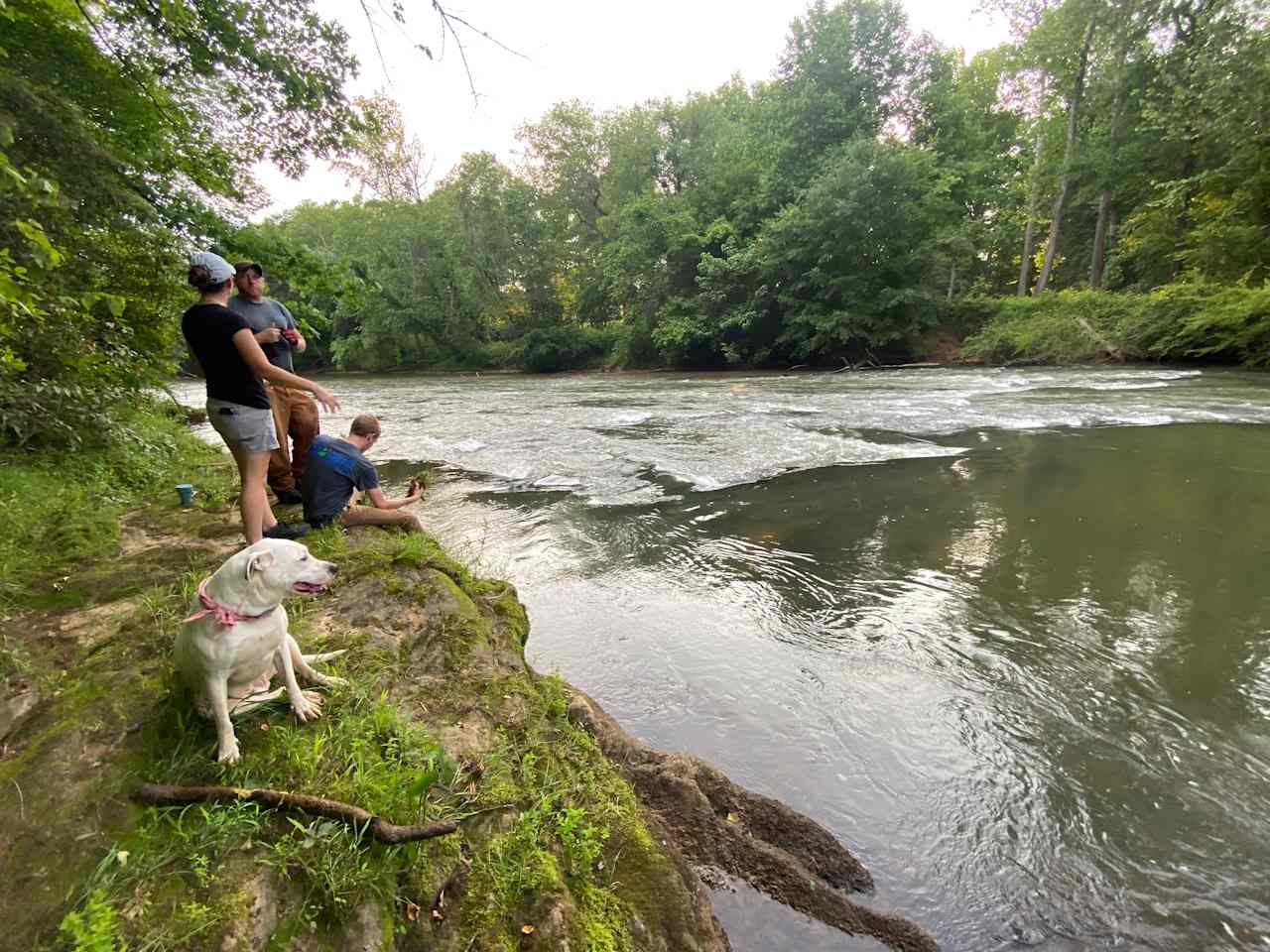 This area is a very short walk from tent sites.  Features a granite outcrop into the rapids with a great pool to cool off in.