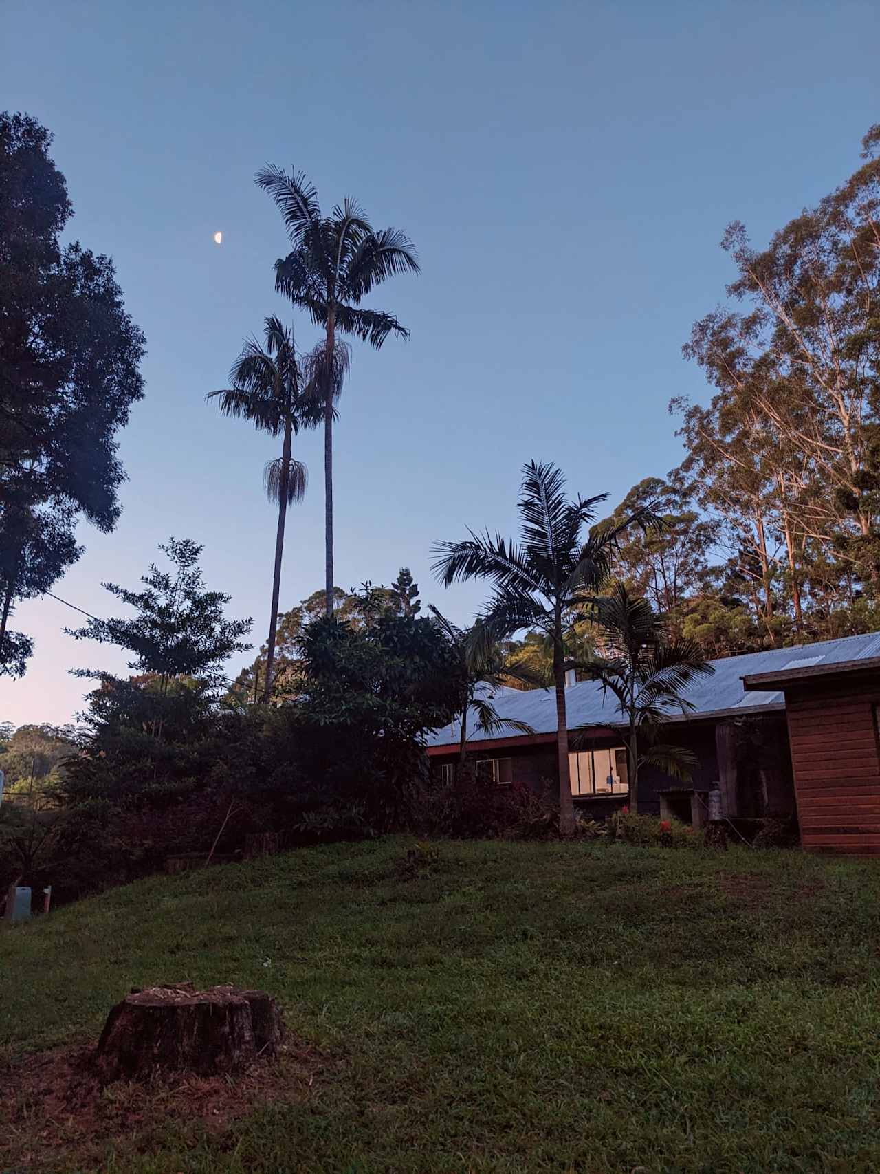 Rainforest Retreat