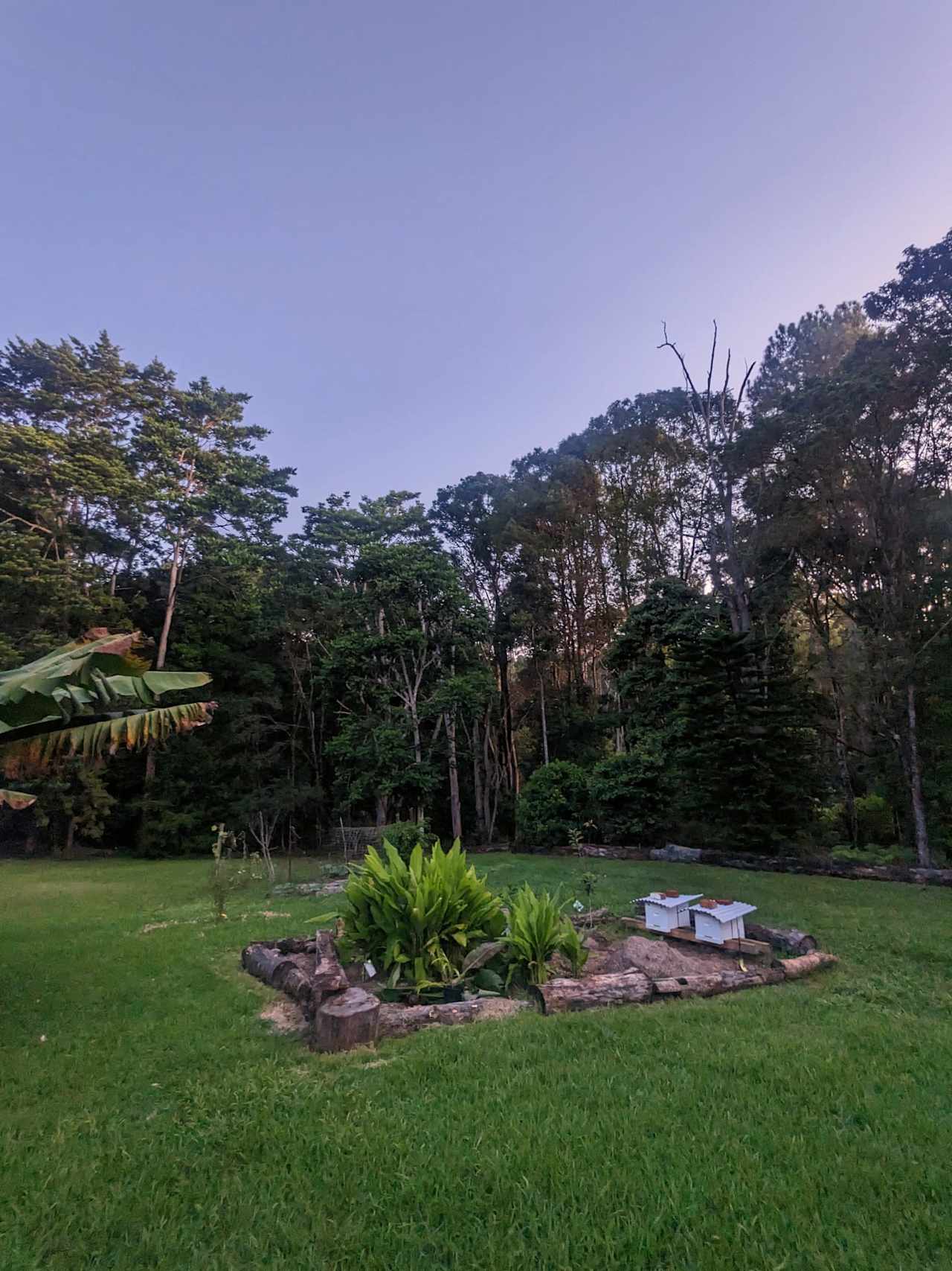 Rainforest Retreat