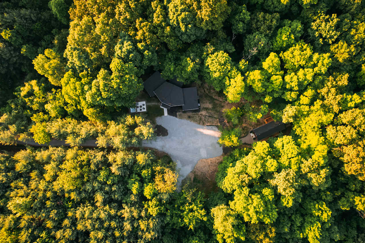 Did we mention we're in the forest?