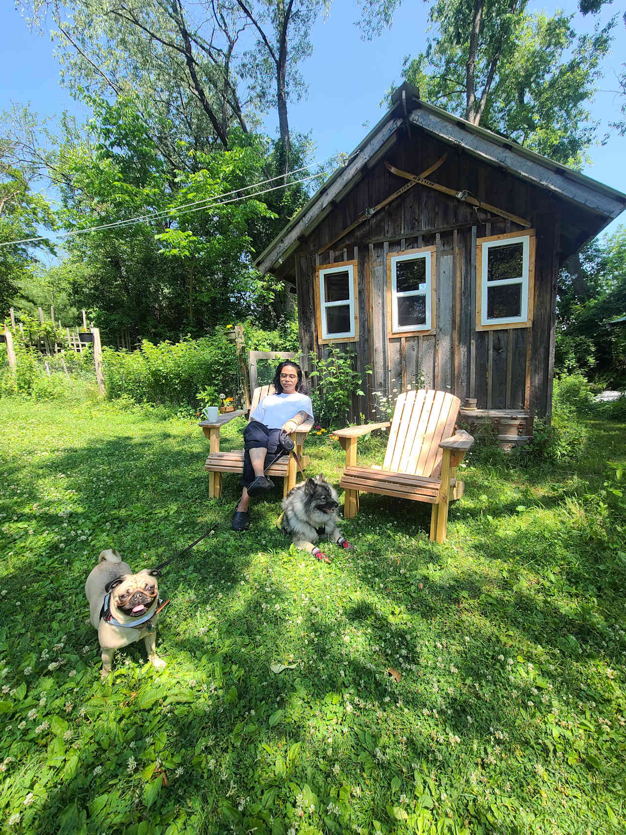 Ithaca Artsy Bunkie