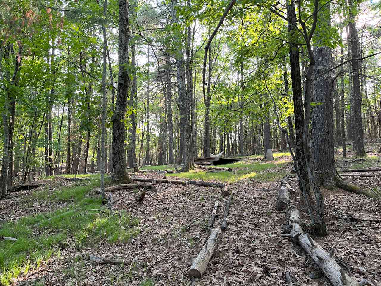 Path to site from house, three minutes' walk.