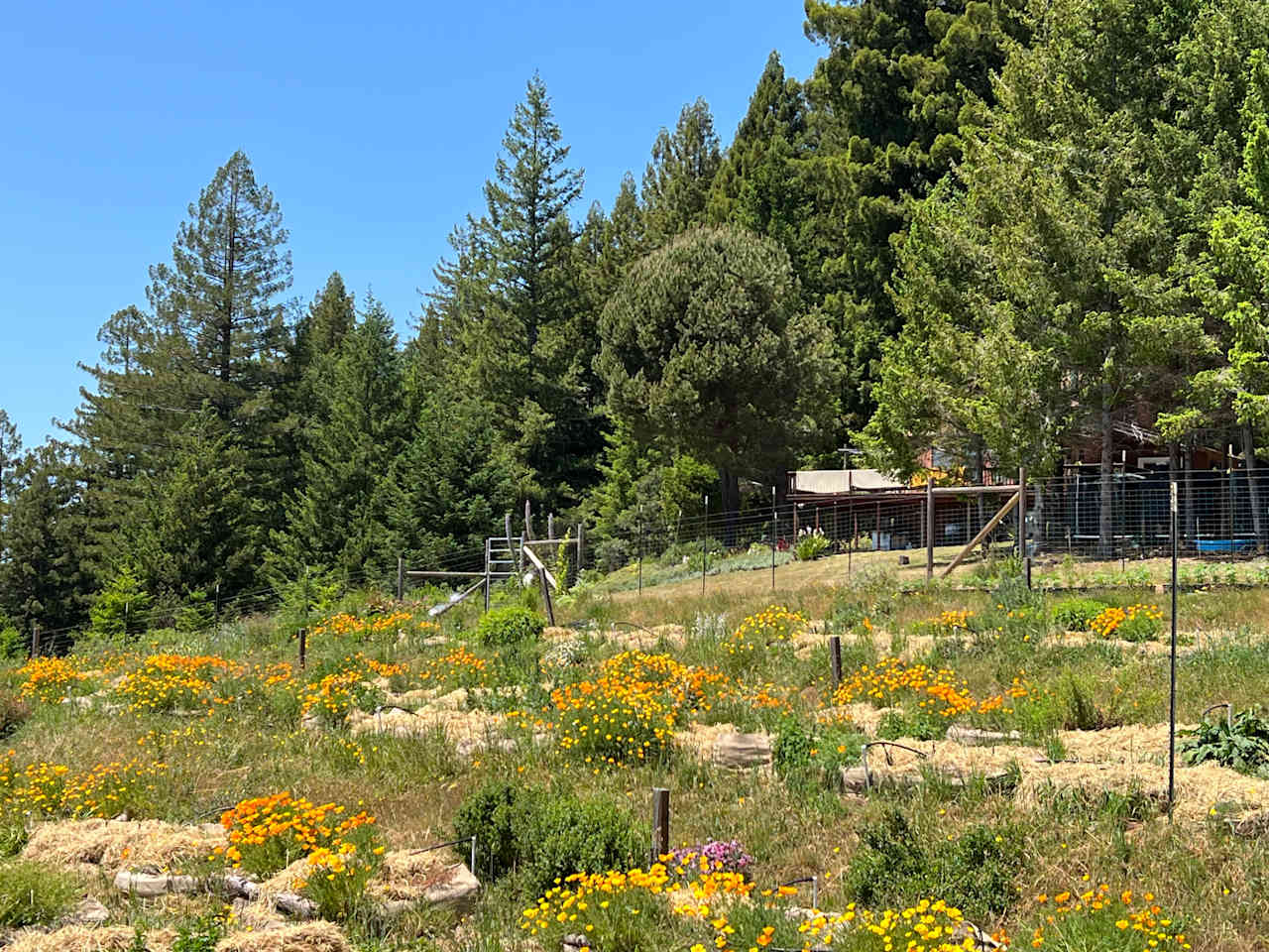 Open Gate Homestead