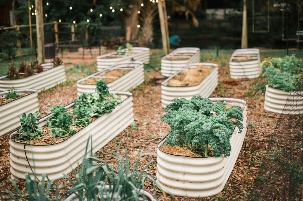 Seasonal garden. Help yourself to anything you see growing, but we don't guarantee there will be anything when you're here! 