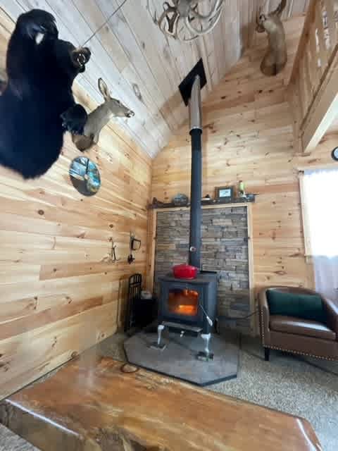 Woodstove 