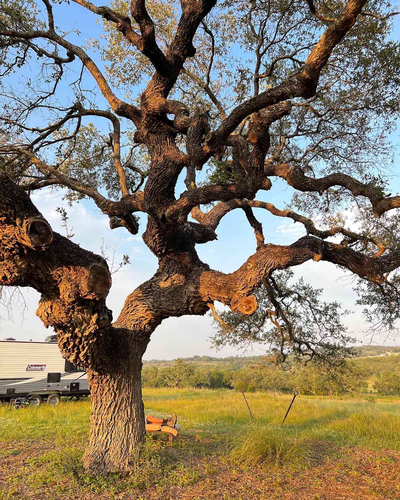 Whispering Oak Ranch