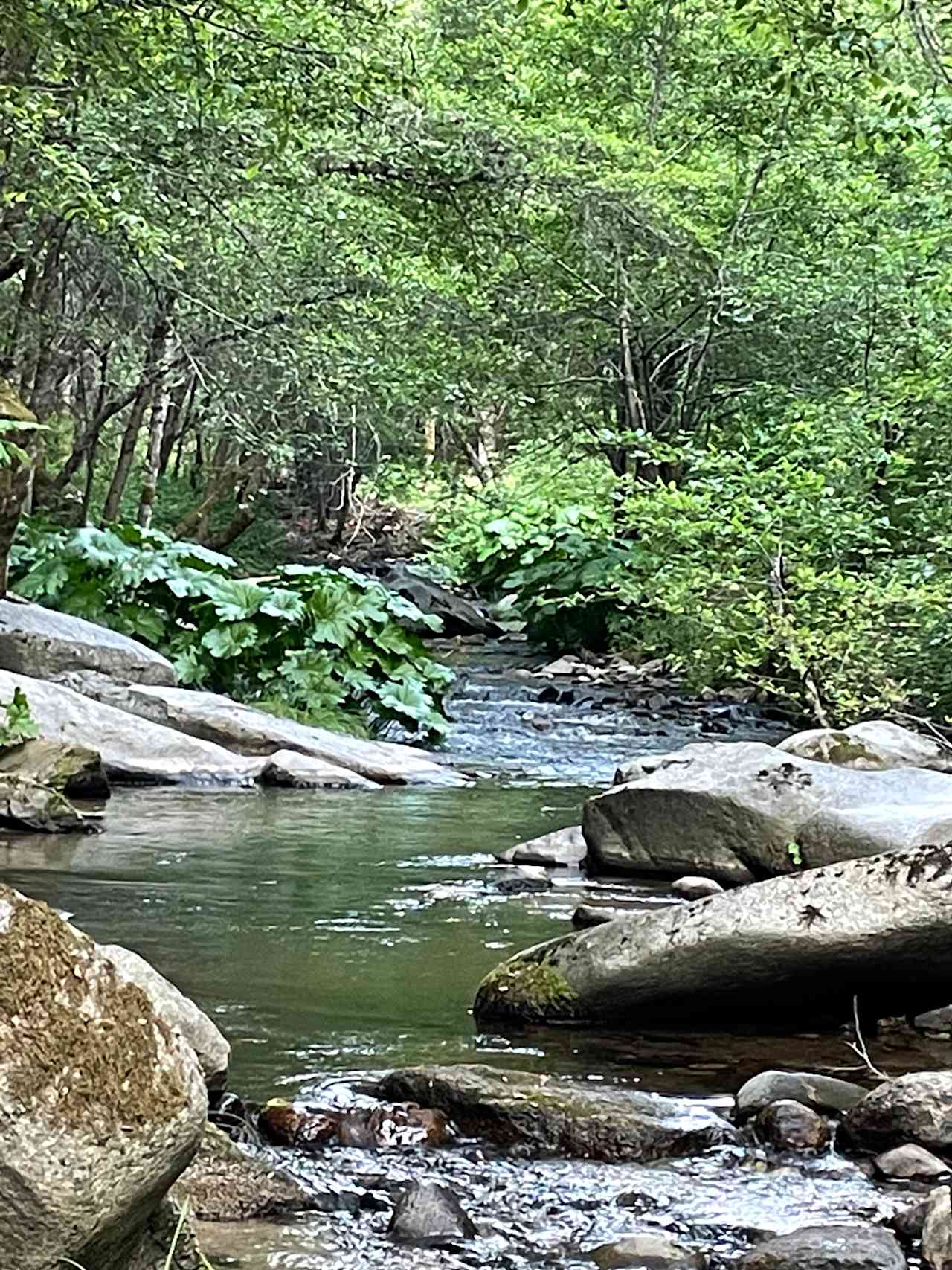 Escape the rat race, just 7 minutes up the road from Willow Springs.
