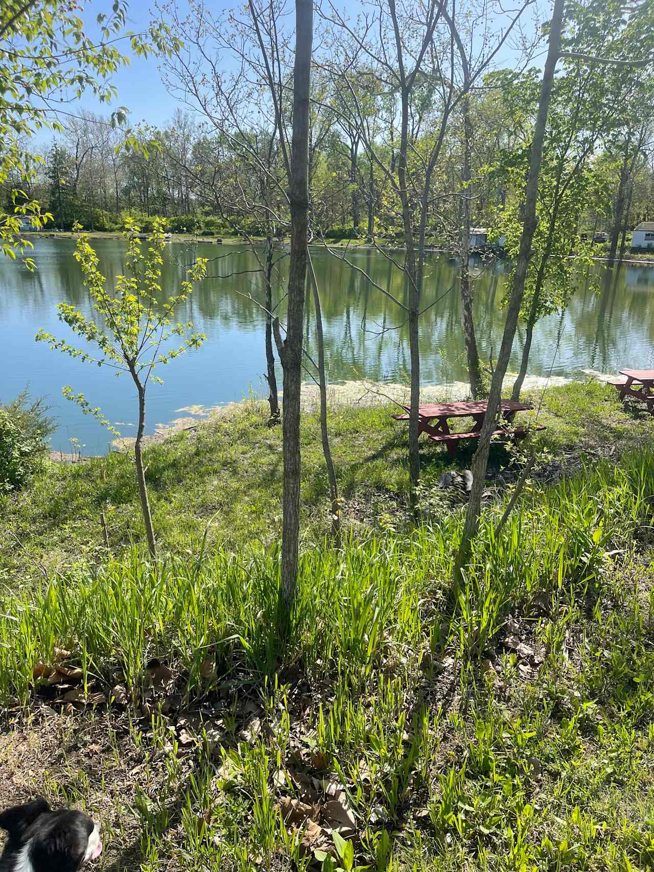 Blue Water Lake