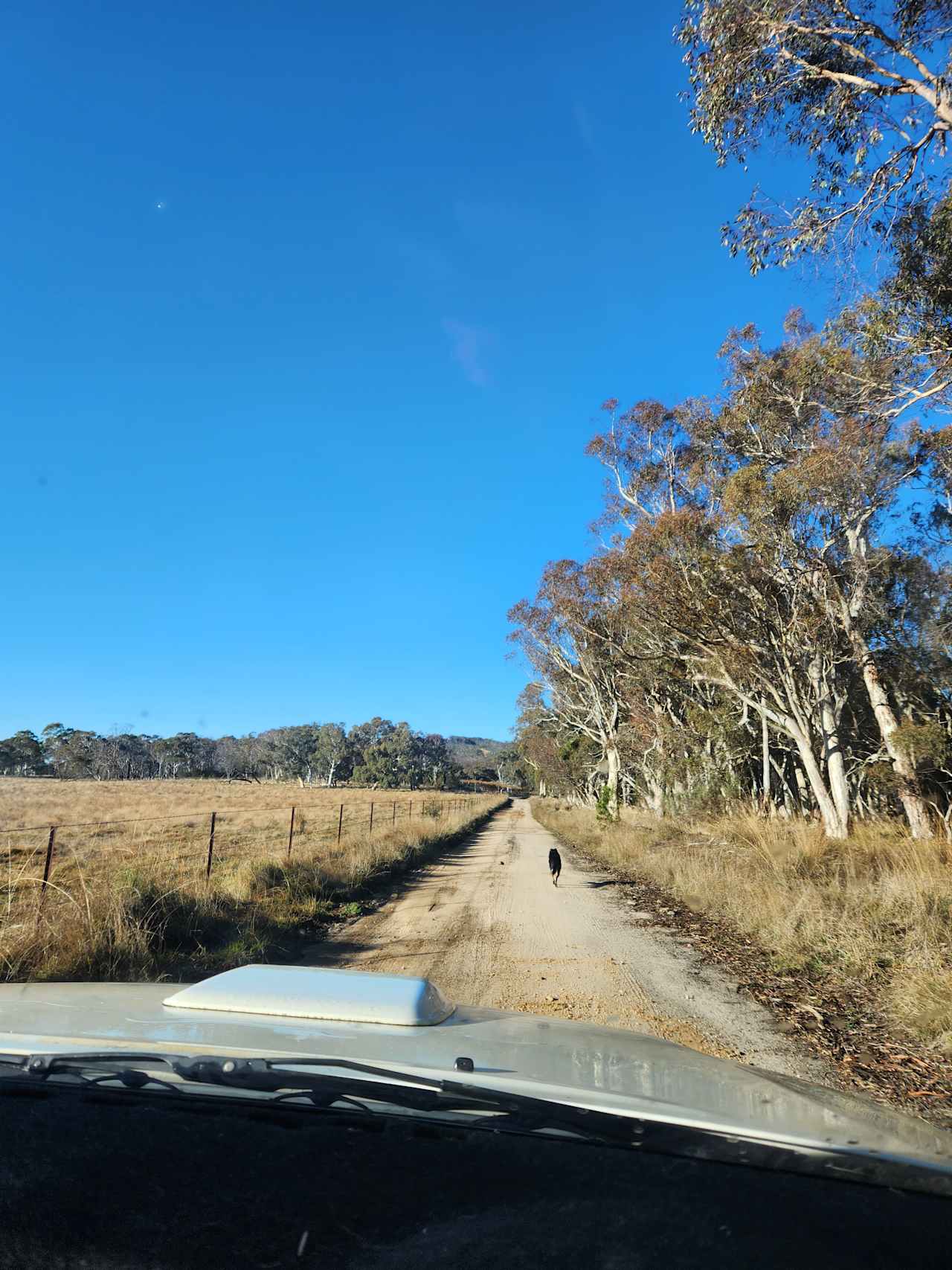Wombat Flats