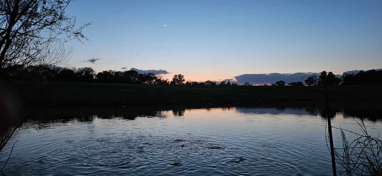 Catfish Pond