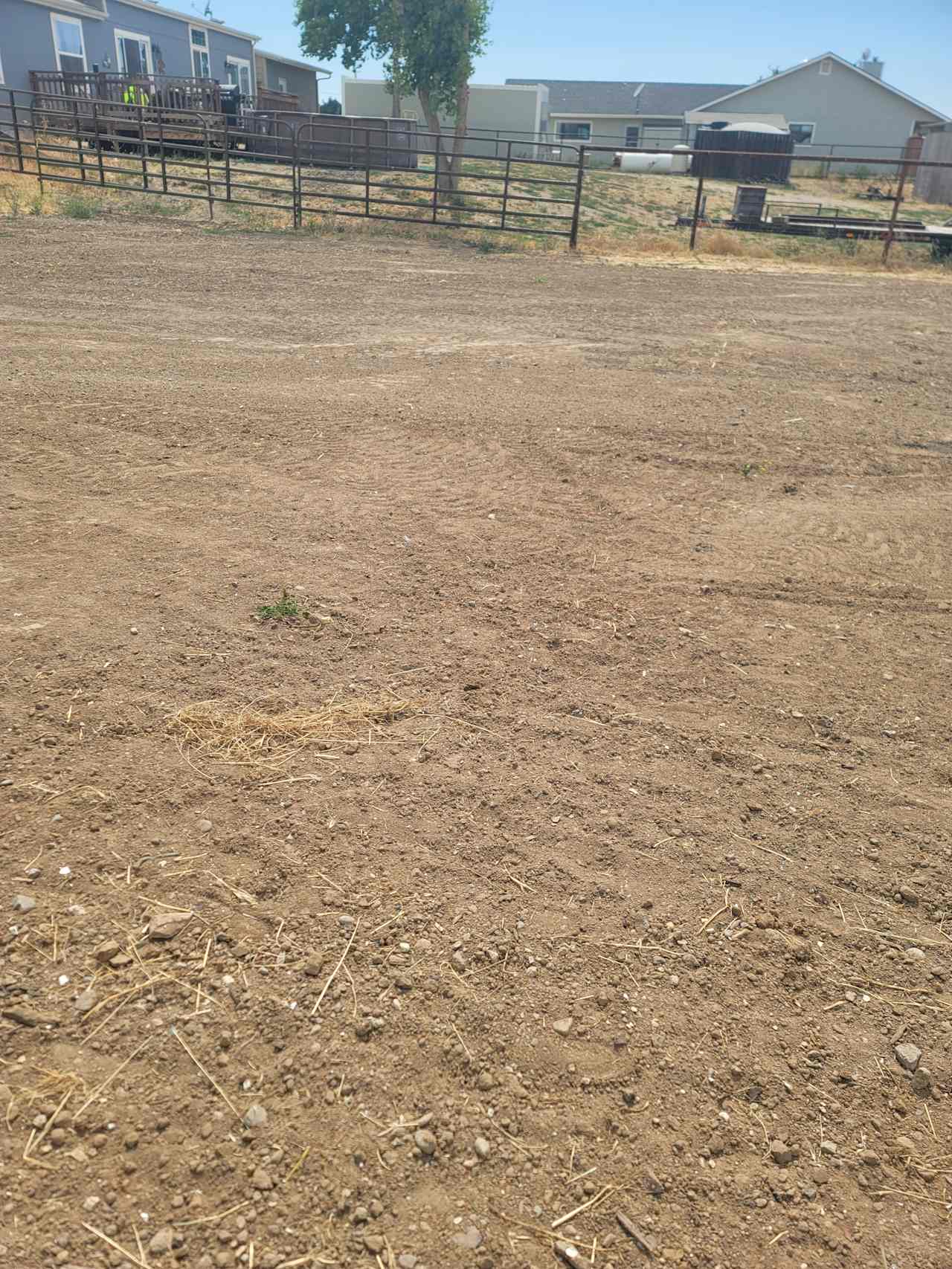 Rancho no Tengo dinero