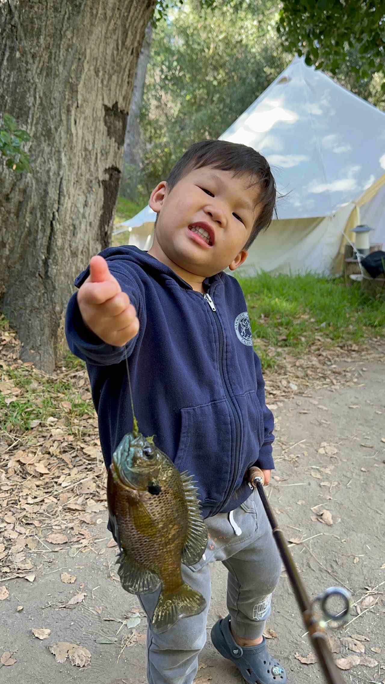 Temecula Bullfrog Pond