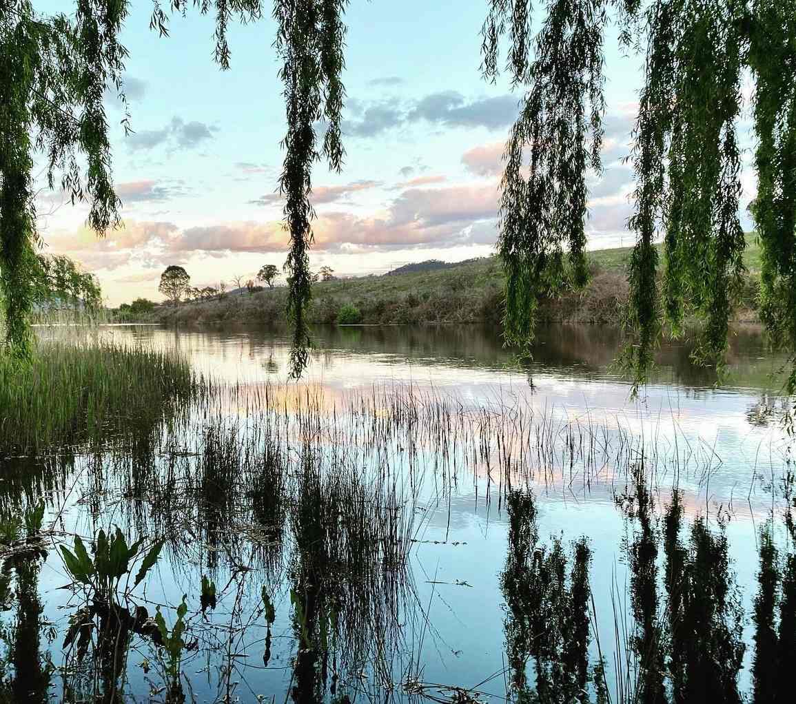 Snowy River Farm 