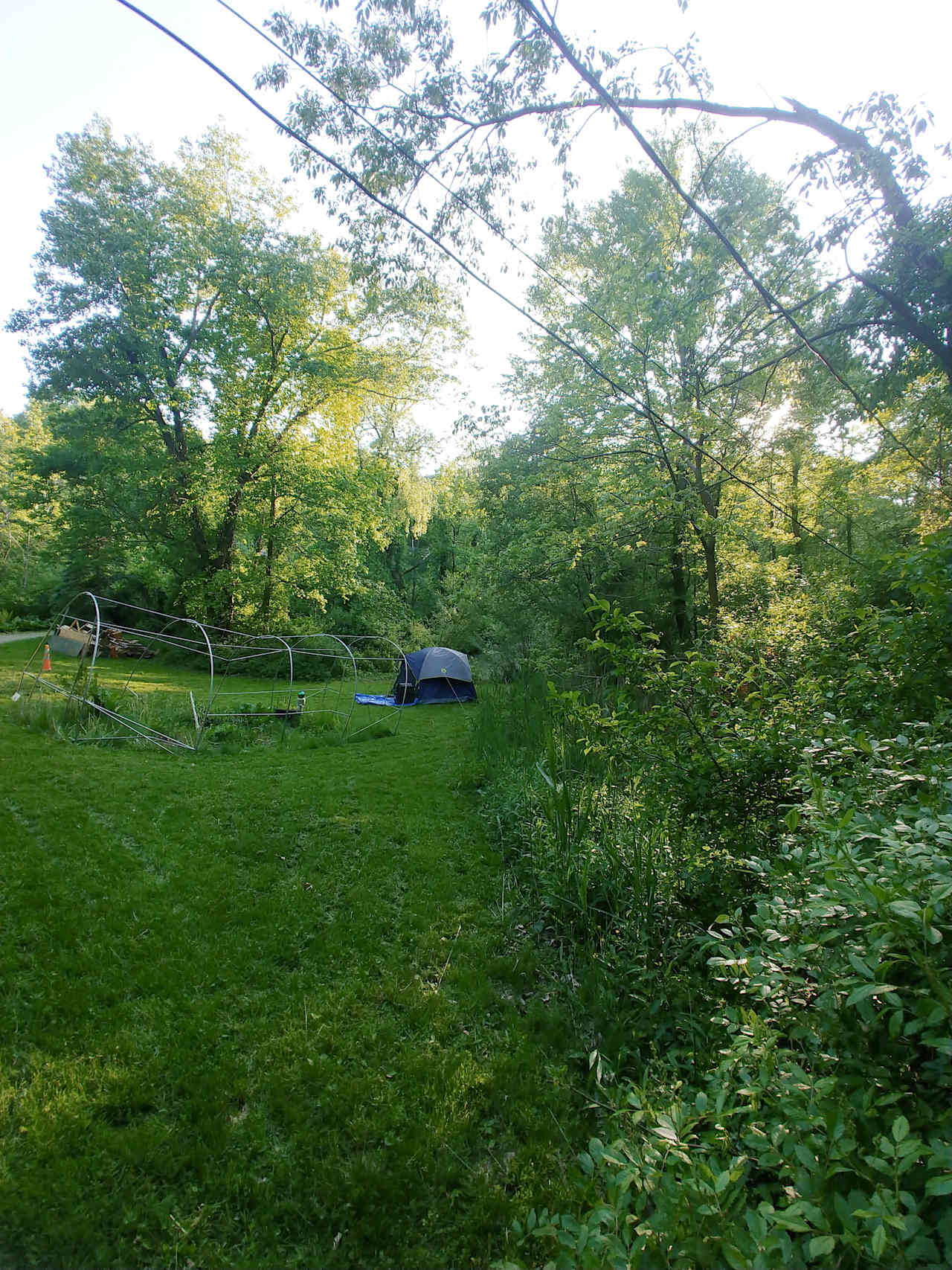 Heaven Comes to Earth Wildlife Nook