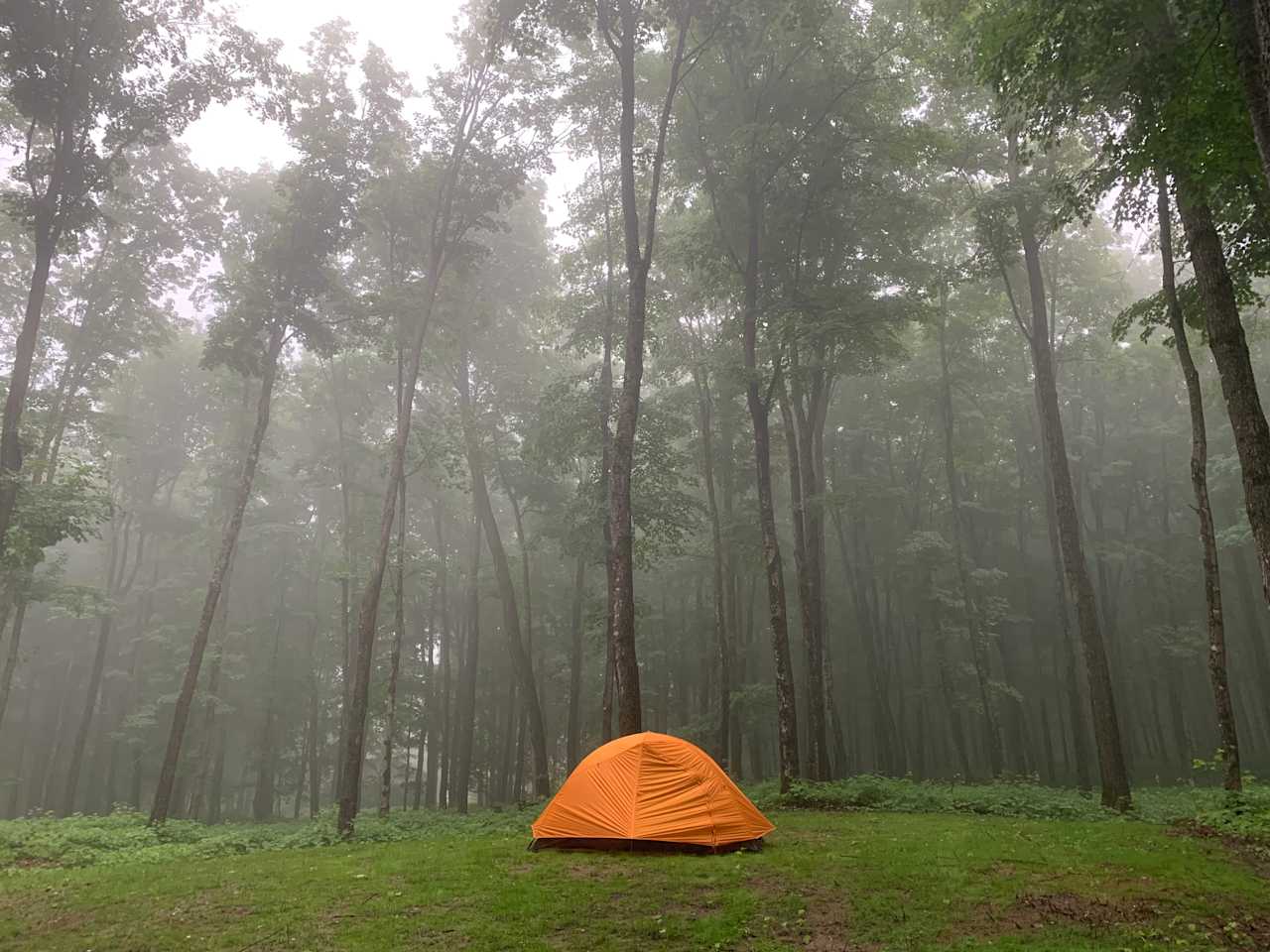Northern Oasis Camping