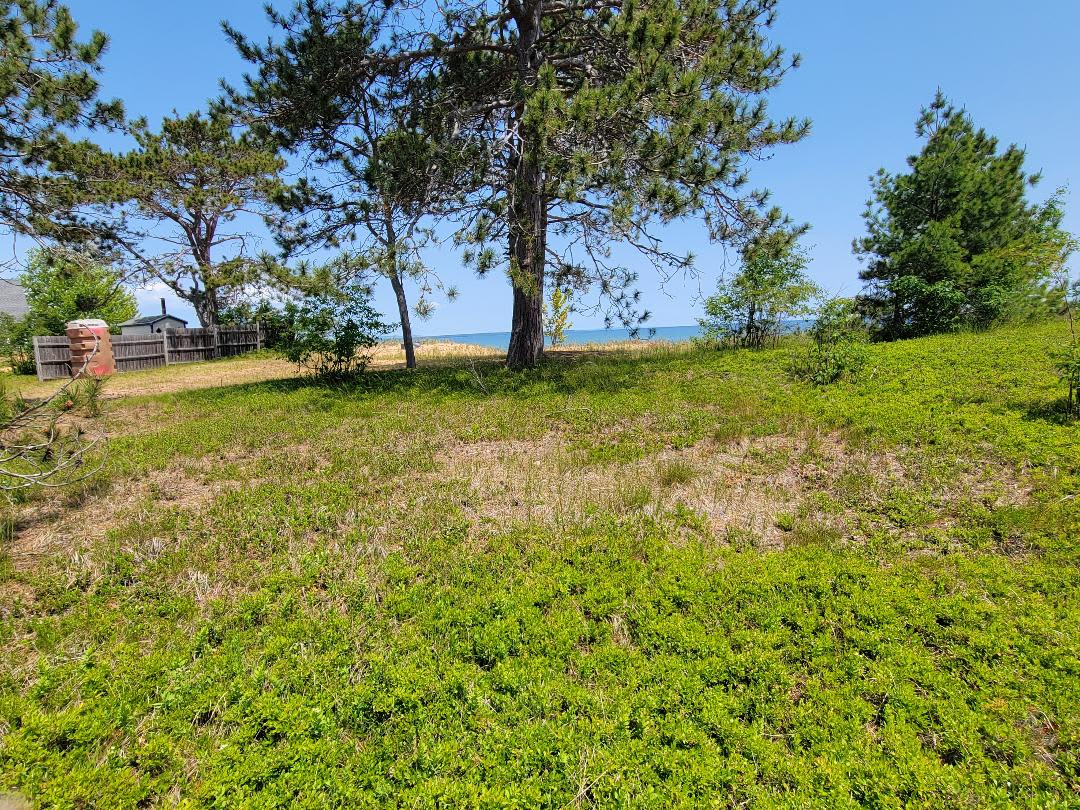 The view north from the south boundary.