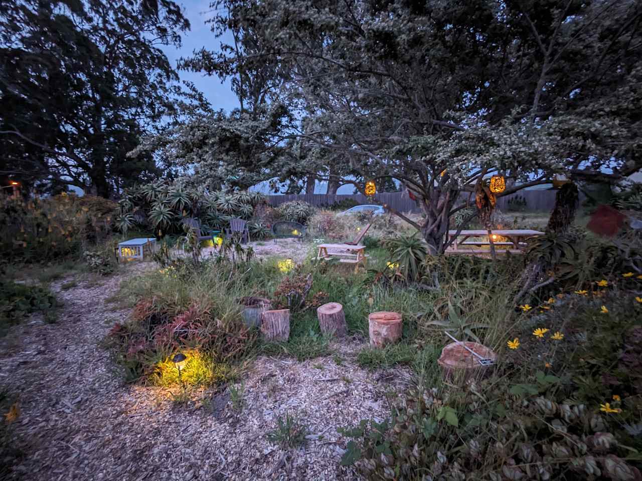 Euphorbia Gardens