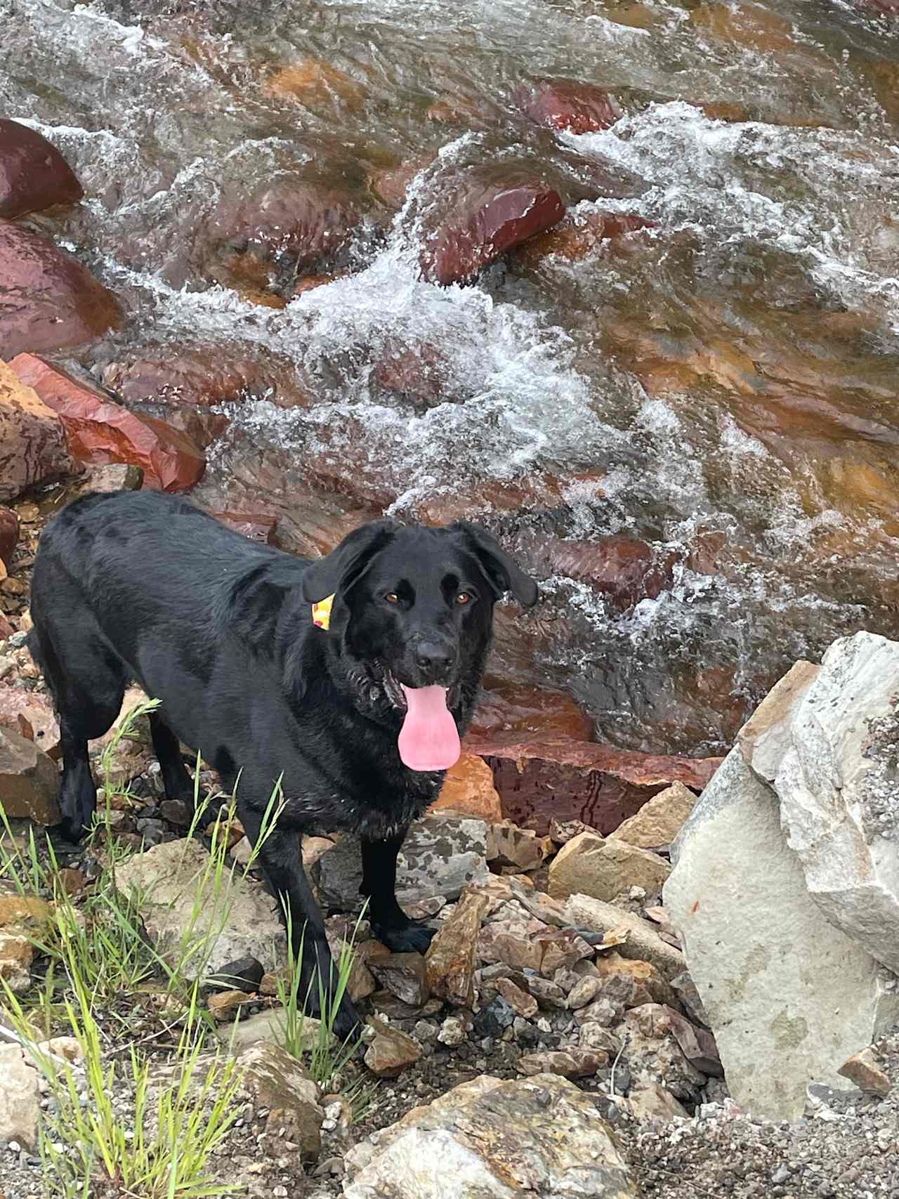 Creekside