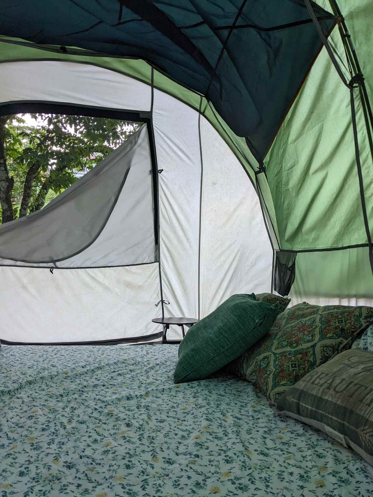 NFA Glamping Pets