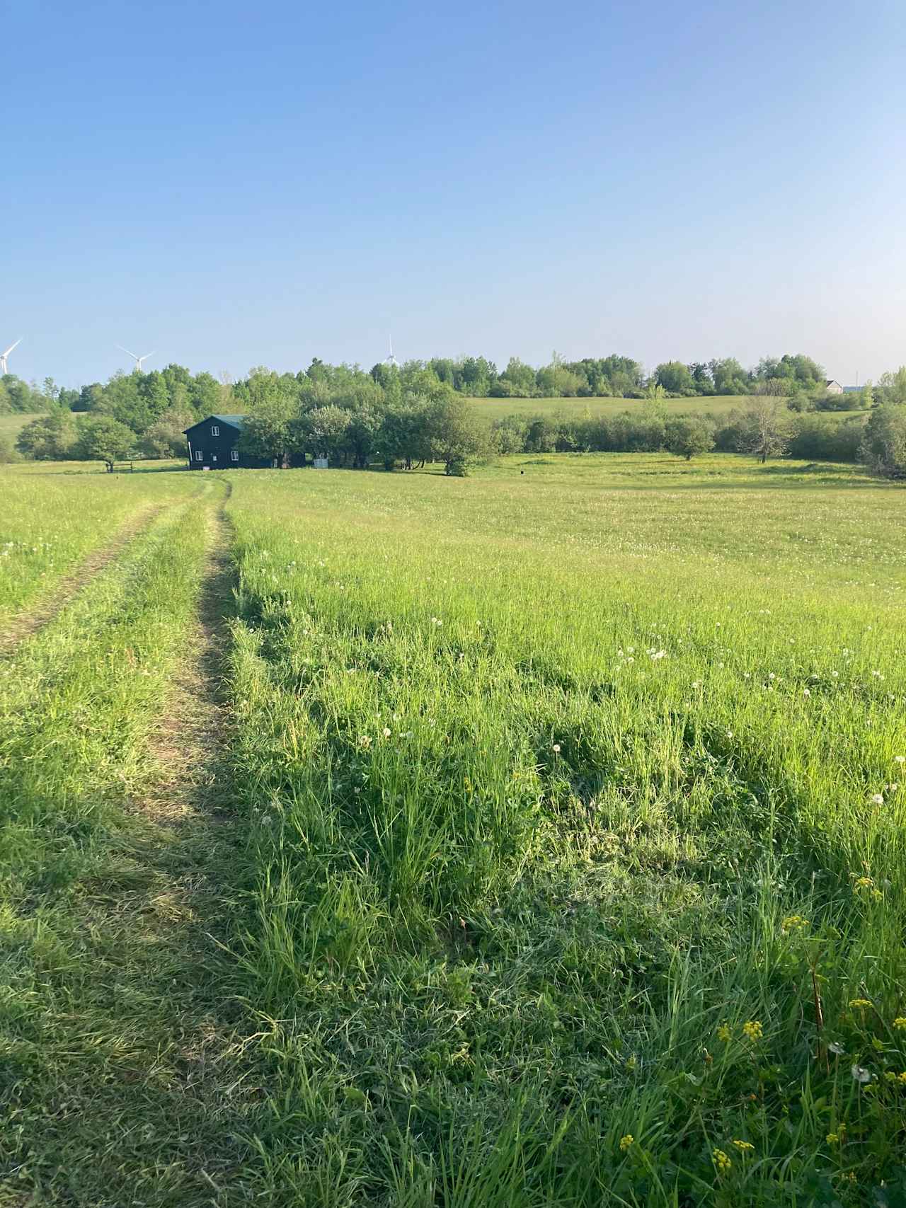 Private camping in scenic NY