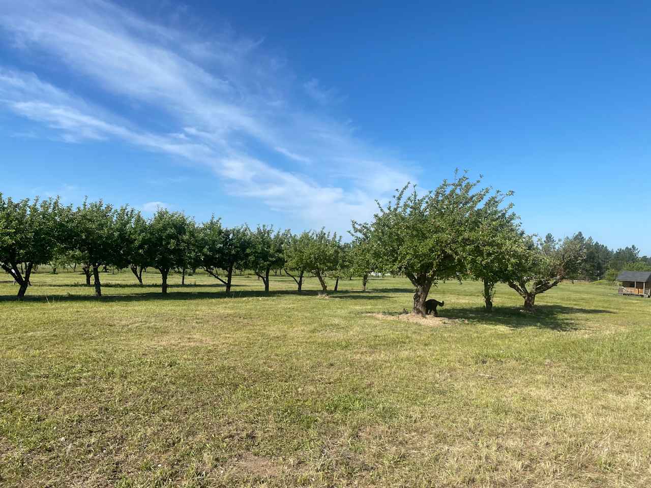 Nàdair Orchard