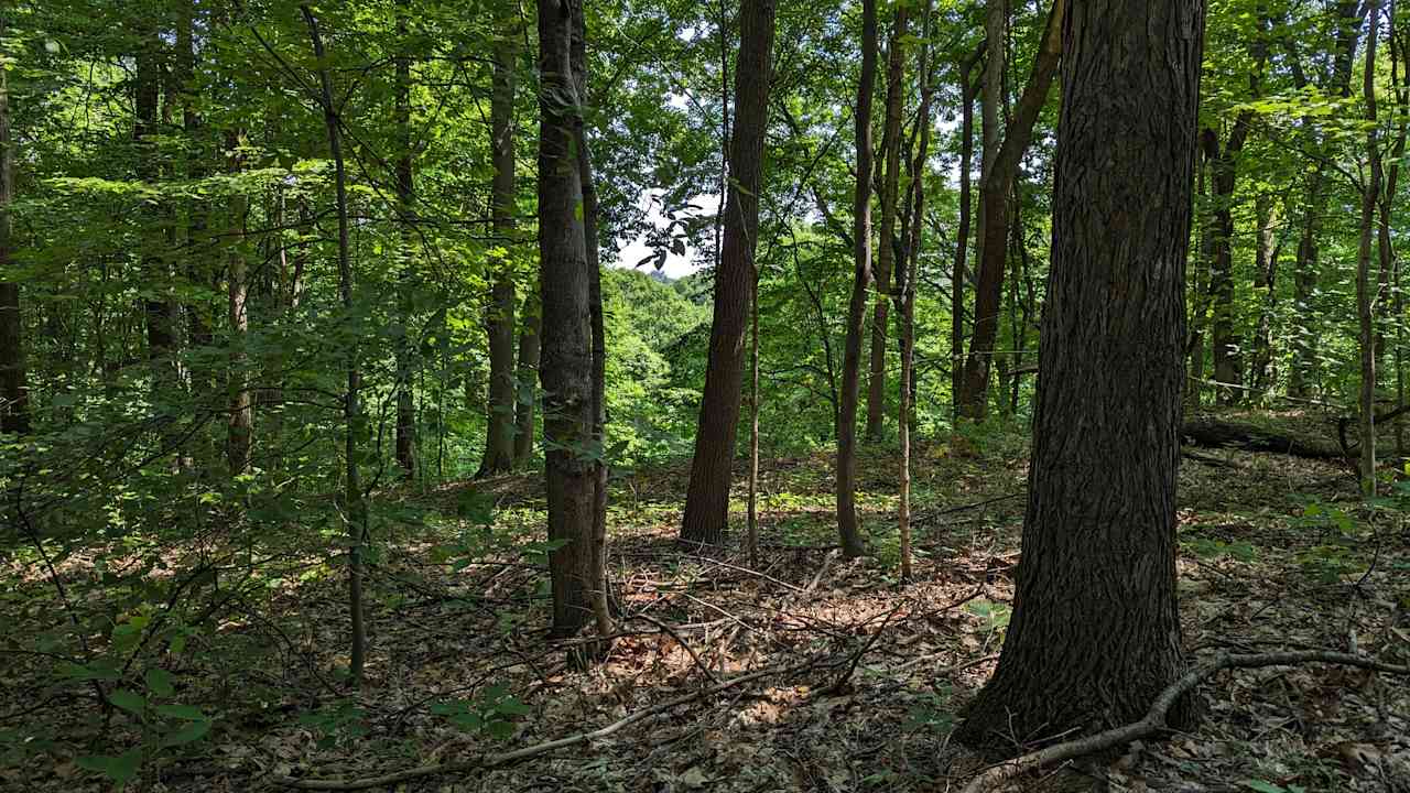 View from camp spot