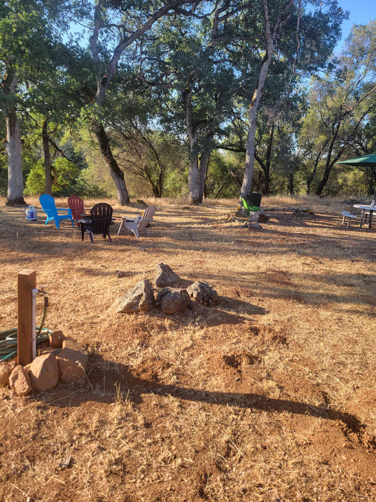 Golden Briar Camp