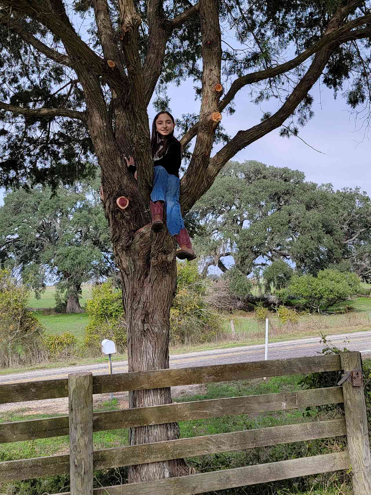New Bielau Ranch