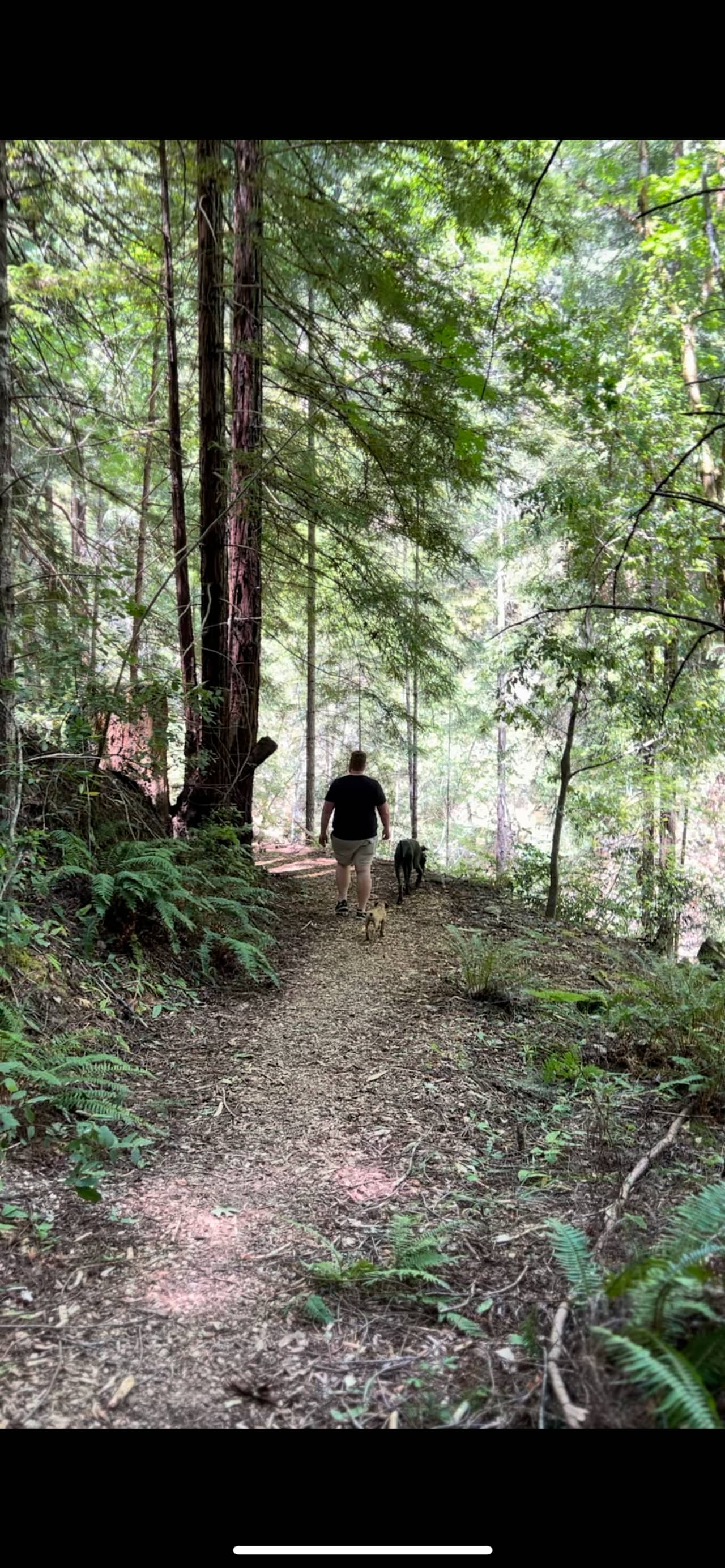 A California Dream: Camp Hoppy